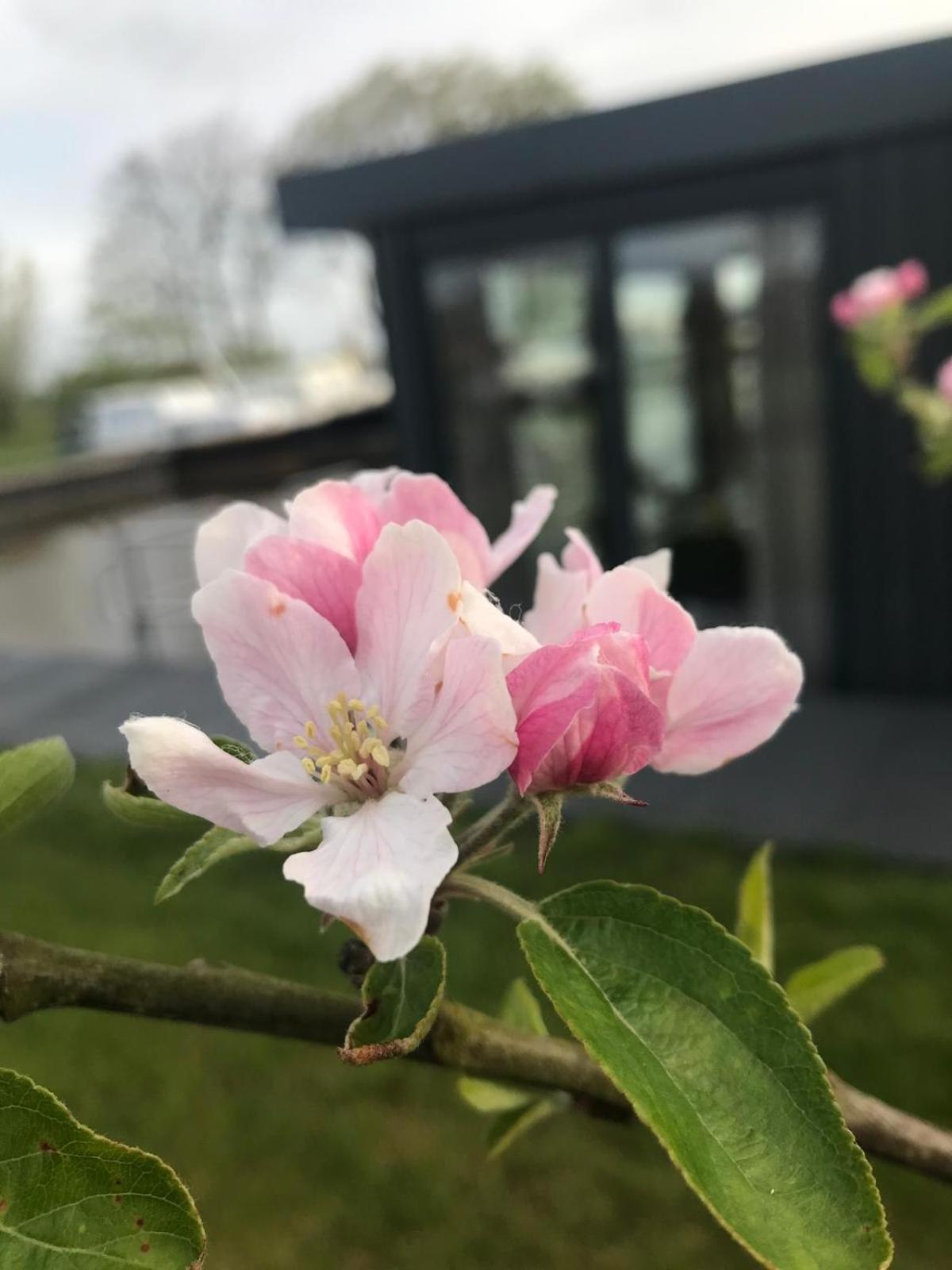 Bateau-hôtel Uniek Overnachten In Tiny House Op De Appelhof *