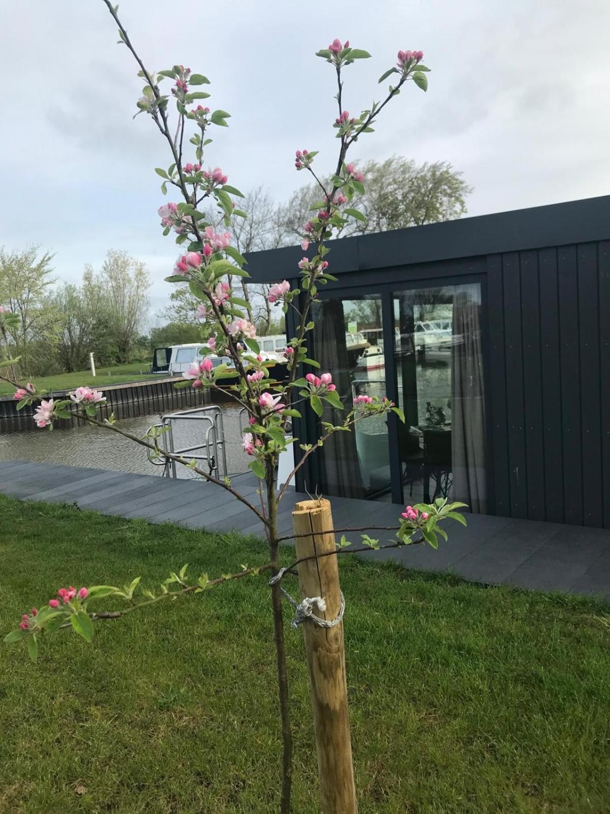 Uniek Overnachten In Tiny House Op De Appelhof Bateau-hôtel *